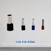 cos pin rỗng