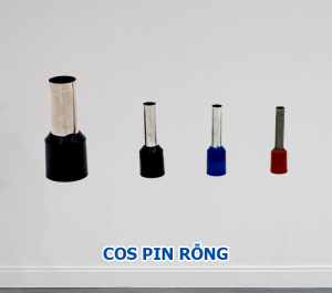 cos pin rỗng