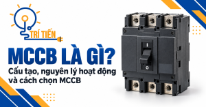 mccb la gi